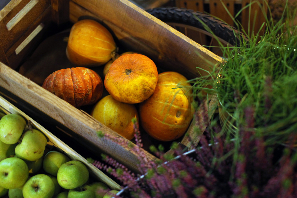 Тыква всему голова: куда этой осенью отправляться за небанальным тыквенным меню в Петербурге